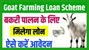 Goat Farming Loan Subsidy 2024